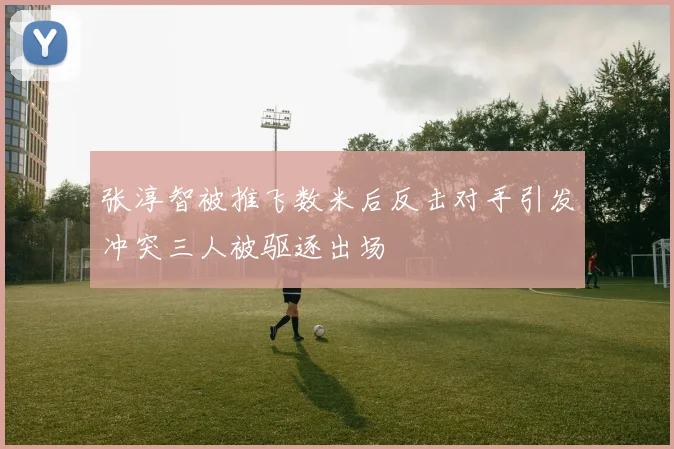 张淳智被推飞数米后反击对手引发冲突三人被驱逐出场